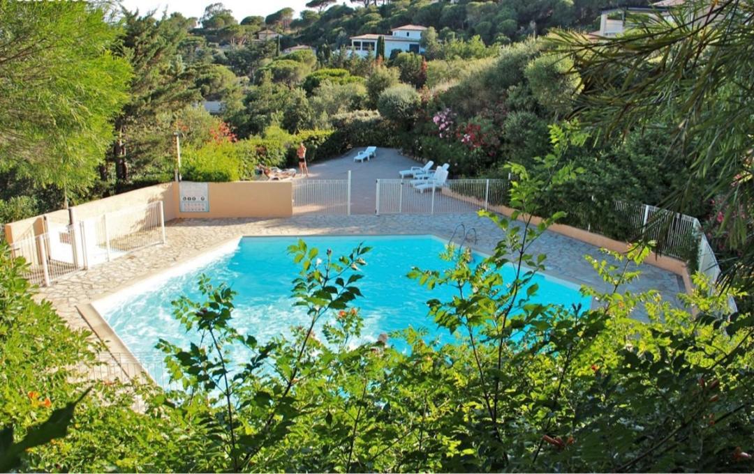 Studio Bord De Mer Terrasse Vue Mer Piscine Lägenhet Sainte-Maxime Exteriör bild